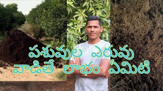 పశువుల ఎరువు వాడితే లాభం ఏమిటి/Villagelife natural/agriculture