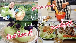 Vlog “แม่บ้านญี่ปุ่น” เก็บผักในสวนทำอาหารไทยให้คนญี่ปุ่นกิน ส้มตำโคราบี้หรือกะหล่ำปม กับไก่ย่างหอมๆ