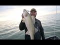 walleye limits on lake erie spring walleye fishing