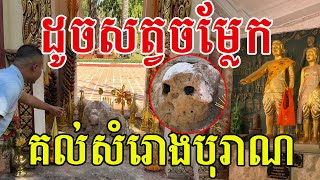 រូបរាងដូចសត្វអ្វីម្យ៉ាង ដុះឡេីងនៅគល់សំរោងលោកតាឃ្លាំងមឿង