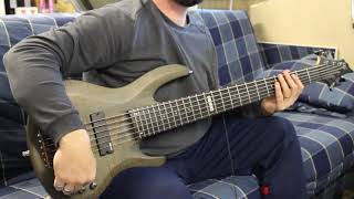 Bradley Cooper & Lady Gaga (A Star is Born) - Shallow - Bass Cover