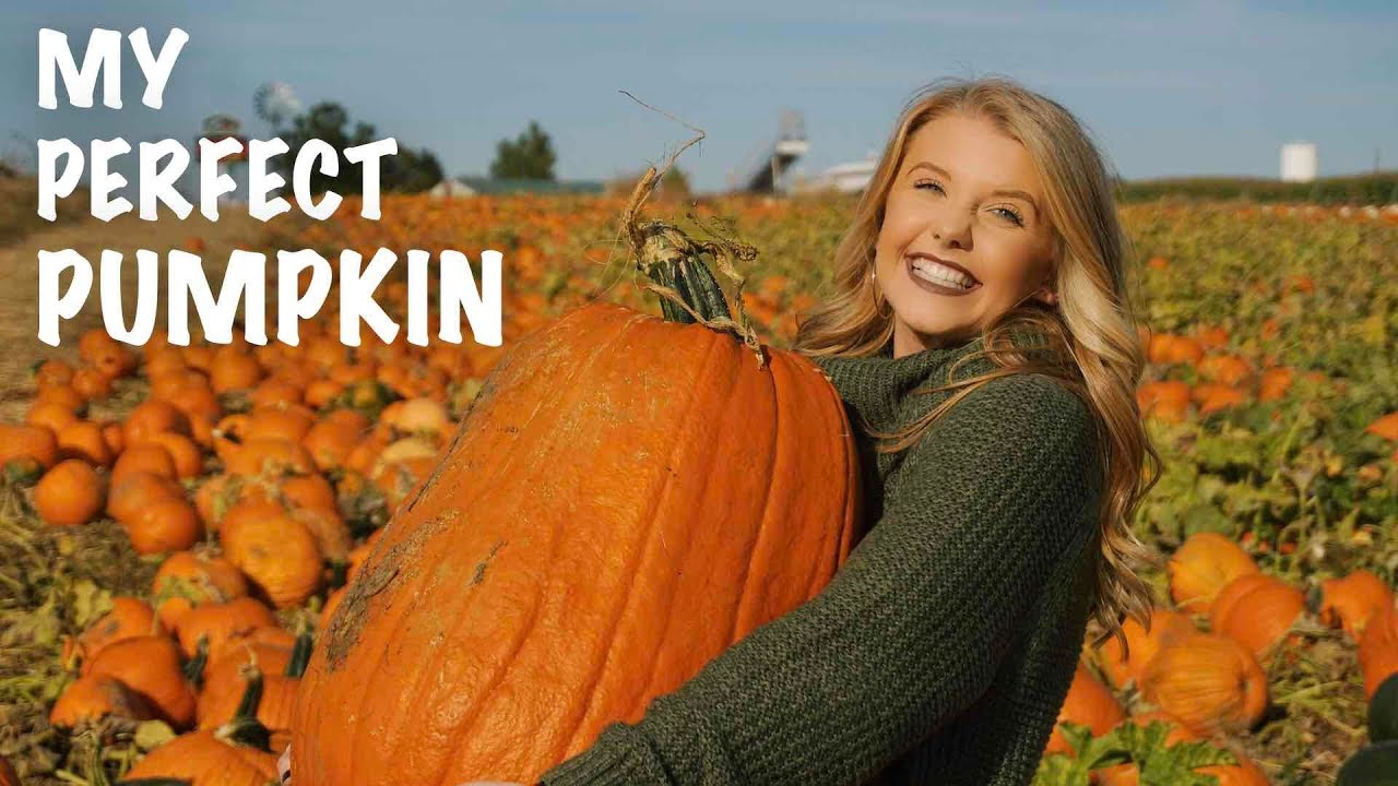 Pumpkin Patch Vlog Youtube