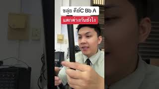 ขลุ่ย คีย์ C Bb A ต่างกันอย่างไร #ขลุ่ย #cover #music