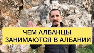 Чем албанцы занимаются в Албании?