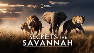 Secrets of the Savannah: Rare Encounters | Wild Chronicles 1646
