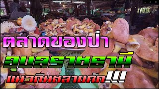 ตลาดของป่า อุบลฯ