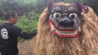 石垣島2019 牛ヌニガイ（牛祭祀）での獅子舞