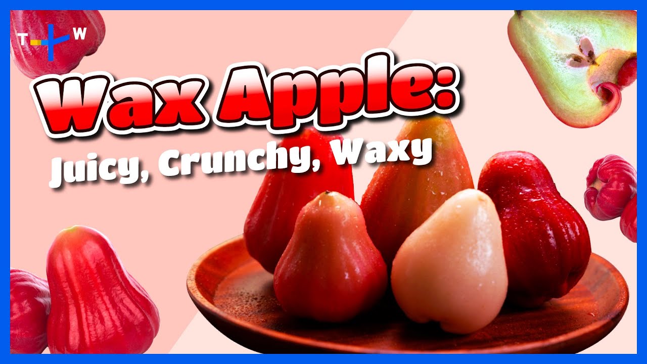 Biting Into Taiwan's Wax Apple: A Juicy And Crunchy Adventure｜Jason's ...