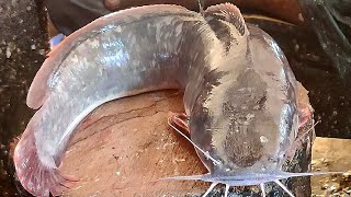 Amazing New Skills! Huge African Magur Fish Cutting | Deadly Catfish Cutting Skills