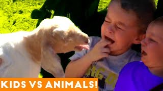 The Funniest Pets Vs Kids & Babies Fail Compilation | Funny Pet Videos
