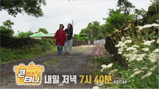 콘테나 ＆ 정원의 발견 2021.06.11 방송 예고 [KBS제주]