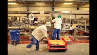 Behind the scenes at a famous Welsh pie factory