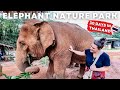 Elephant Nature Park 2022 | Unforgettable Chiang Mai Day Trip