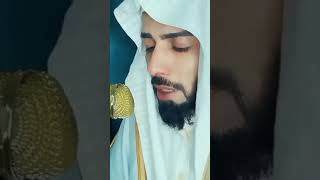 Abdul Rahman Mossad Quran Recitation | memicry