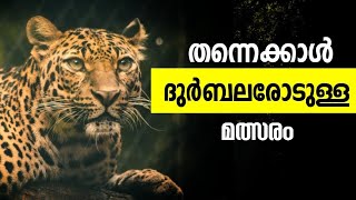 ദുർബലരോടുള്ള പോരാട്ടം/Malayalam Motivational Story/Mindout Motivations