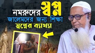 নমরুদের স্বপ্নের ব্যাখ্যা জালেমদের জন্য | আল্লামা লুৎফর রহমান | Allama Lutfur Rahman New Waz