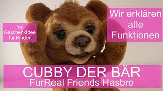 Cubby - My cuddly bear Hasbro FurReal Friends E4591 interactive plush toy - all functions