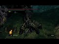 dark souls remastered ng plus with the crazyrunt