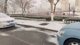 2021年冬天，青岛的雪