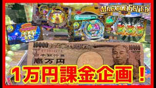 【メダルゲーム】期間限定ルーレットで1万円課金でお店よりお得になる？「マーブルフィーバー 」