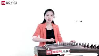 从零起步学古筝【77】花儿与少年（一）Chinese musical instruments guzheng 新爱琴乐器