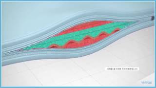 특허받은 알집구조 원리 3D