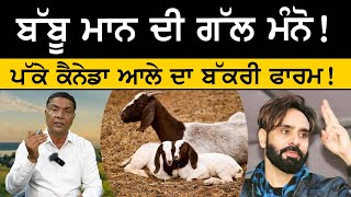 Kang Goat Farm - Babbu Maan ਦੀ ਗੱਲ ਮੰਨੋ ! ਪੱਕੇ Canada ਆਲੇ ਦਾ  Bakri Farm ! | Kang Goat Farm Patiala