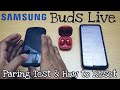 Samsung Buds Live - Bluetooth Paring Test & How to Reset