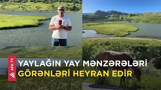 Naxçıvandakı bu yaylağın ərazisində üzən ada var – APA TV