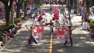 妃龍〔彩夏祭2016　公園通南会場1本目20160806〕