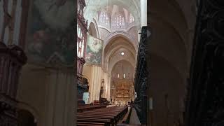 パイプオルガンの響き（タラゴナ大聖堂・スペイン）Catedral de Santa Tecla (Tarragona, Spain) #shorts