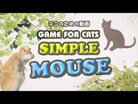 【猫用動画ネズミ】GAME FOR CATS – SIMPLE – MOUSE 4 hour