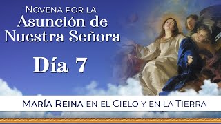 Novena por la Asunción de la Virgen María 🕯 Día 7  #novena