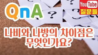 나비와 나방의 차이점은 무엇인가요?