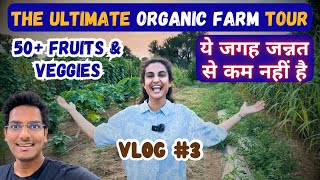 50 + Organic Crops Without Chemicals - All Thanks To Our Gir Cows | MUST WATCH #kinayafarms