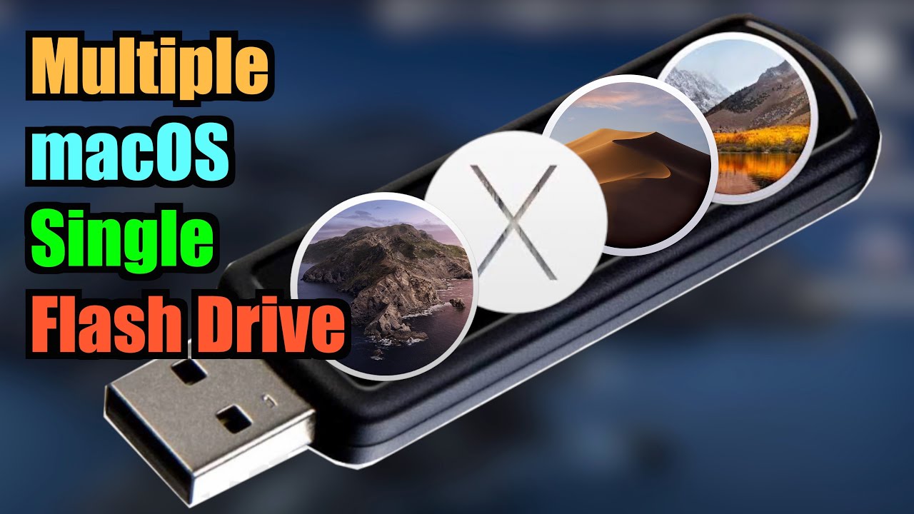 How To Create Multiple Bootable MacOS In A Single USB - YouTube