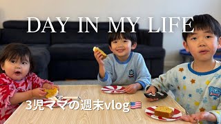 【アメリカ駐在生活】鳥インフルエンザで卵が高騰🇺🇸週末vlog コストコ|トレジョ|最近買った知育おもちゃ|マインクラフト|3児ママ