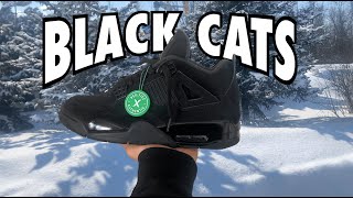 The *PERFECT* 1:1 Black Cats? | Full Review |