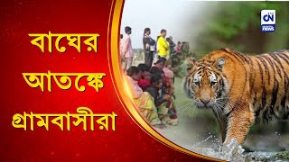 বাঘের আতঙ্কে গ্রামবাসীরা | CN