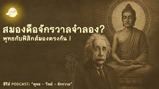 สมองคือจักรวาลจำลอง? – พุทธกับฟิสิกส์มองตรงกัน!