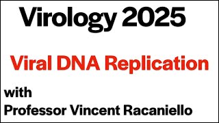 Virology Lectures 2025 #8: Viral DNA replication