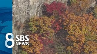 산에는 울긋불긋 단풍·들판엔 은빛 억새…'가을빛' 절정 / SBS