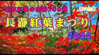 【長瀞紅葉まつり2022】「日本紅葉の名所100選」のひとつ、長瀞の紅葉が見頃を迎えた。荒川・岩畳対岸では、水面に映り込む紅葉。月の石もみじ公園、宝登山神社、自然の博物館ではライトアップが行われた。