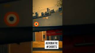 Aerobatic Air Fighter #shorts