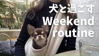 【ルーティーン】都内で愛犬と過ごす休日デート【vlog】【ドッグラン】