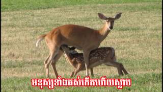 យើងជាពន្លឺលោកិយ ១៧៦