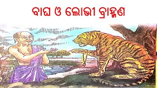 ବାଘ ଓ ଲୋଭୀ ବ୍ରାହ୍ମଣ !! ପିଲାଙ୍କ ଗପ