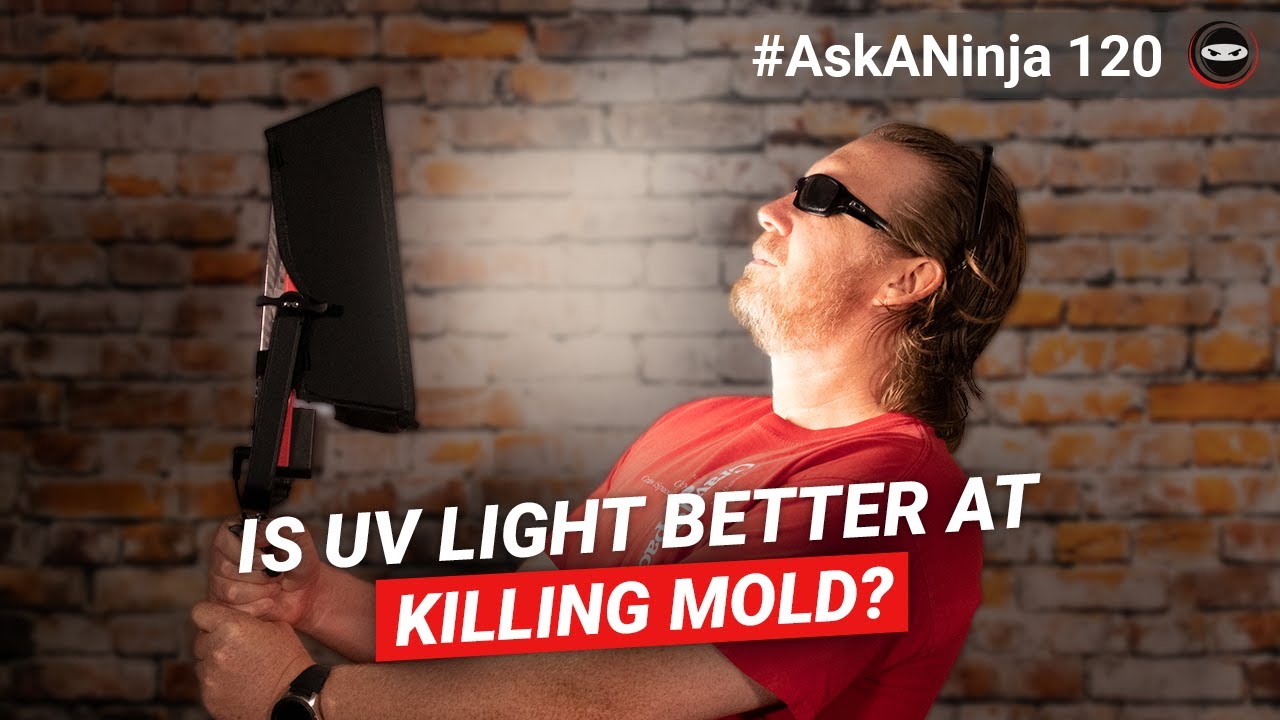 Is UV Light Better At Killing Mold? - YouTube