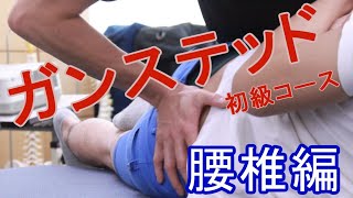 【セミナー紹介動画】腰椎編 シオカワスクールオブカイロプラクティック ガンステッドセミナー