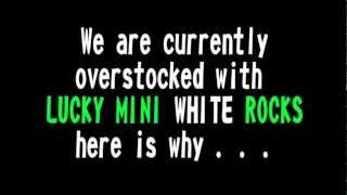 Shocking White Rock Beach Video - Why we are OVERSTOCKED with LUCKY Mini White Rocks